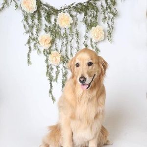 Meet your Posher, Janice